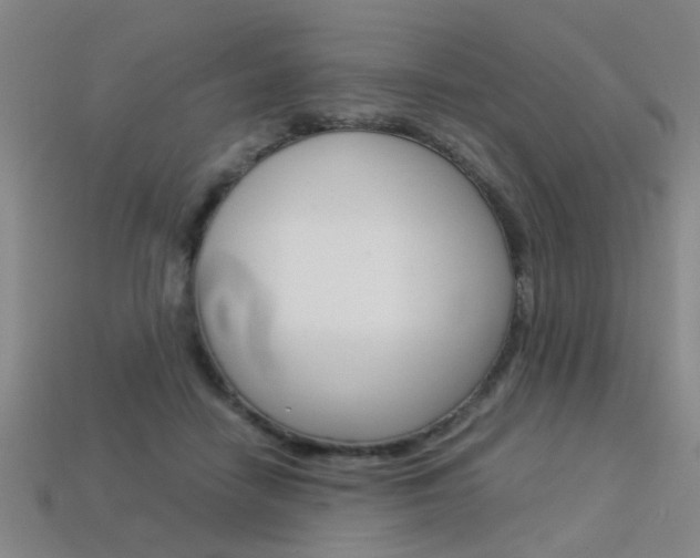 X0000113310458200909141009