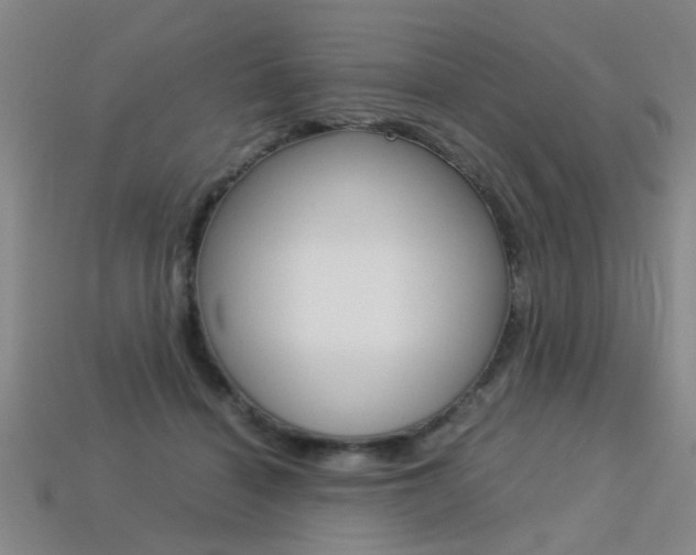 X0000113310460200909141009