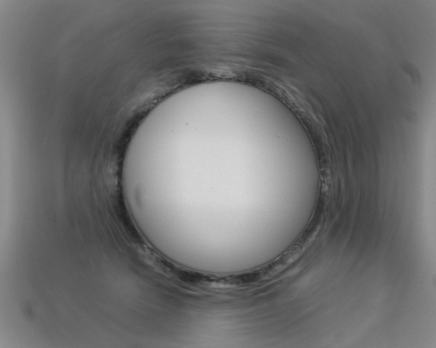 X0000113310466200909141009