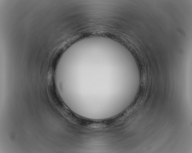 X0000113310468200909141009