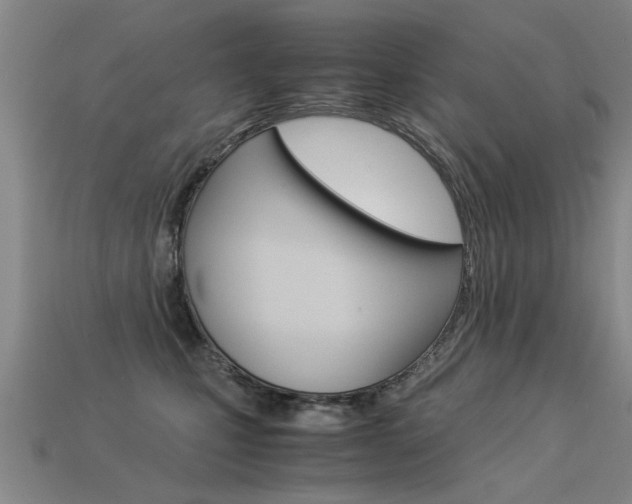 X0000113310471200909141009