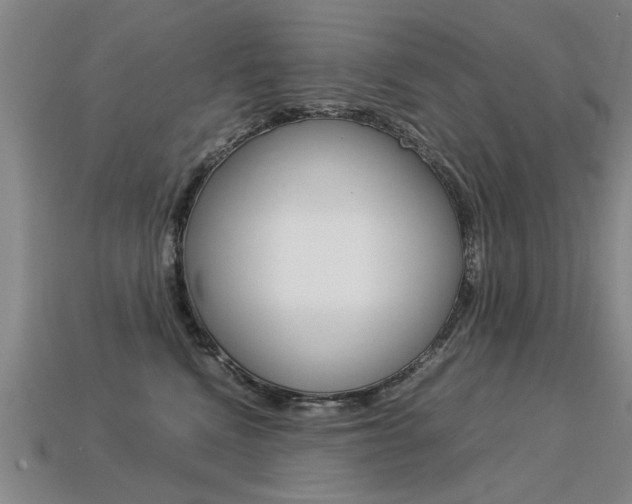 X0000113310472200909141009