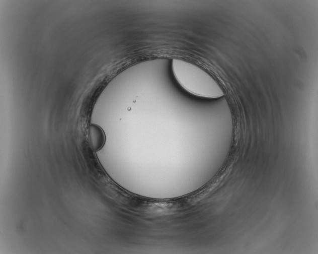 X0000113310473200909141009