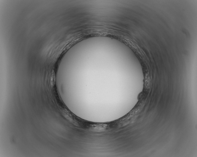 X0000113310474200909141009