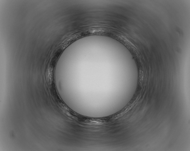 X0000113310475200909141009