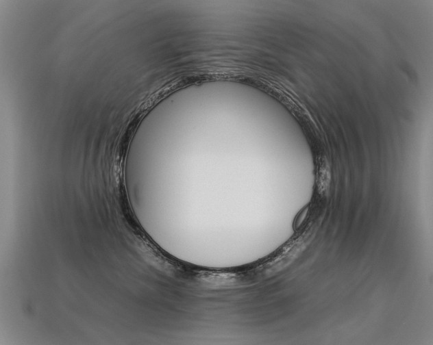 X0000113310476200909141009