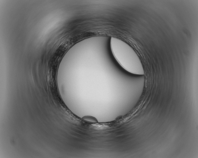 X0000113310477200909141009