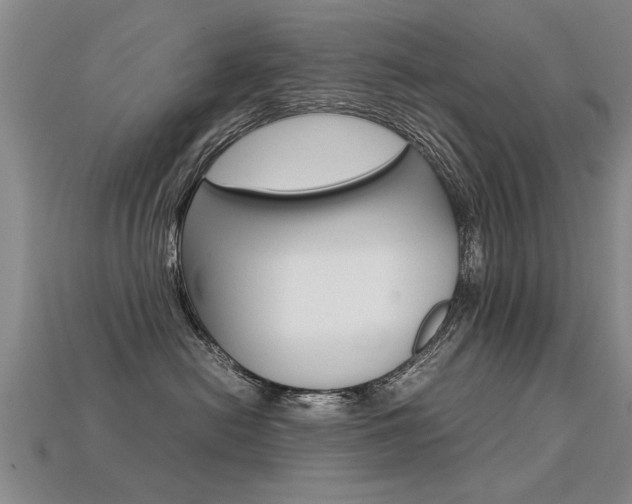 X0000113310478200909141009