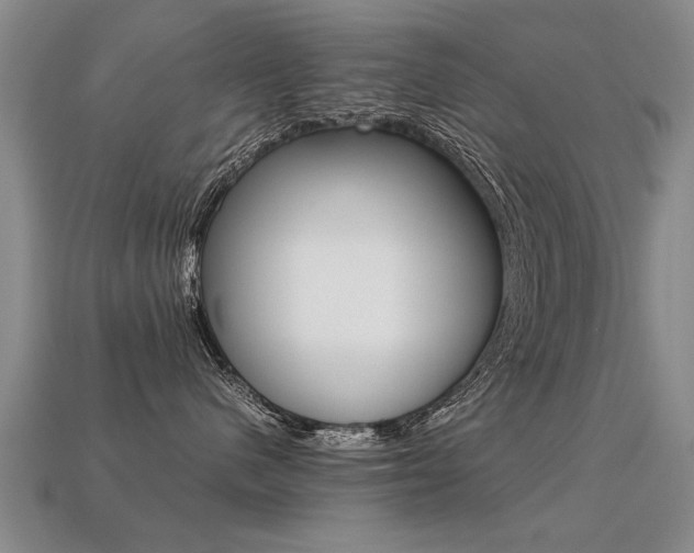 X0000113310480200909141009