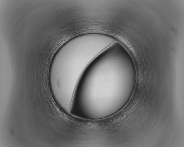 X0000113310481200909141009