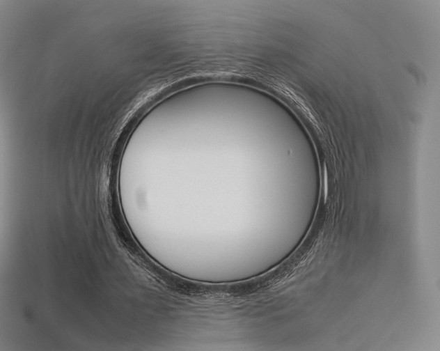 X0000113310483200909141009