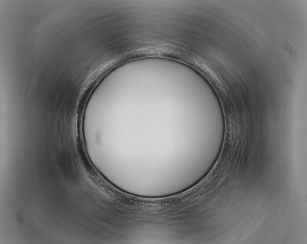 X0000113310486200909141009