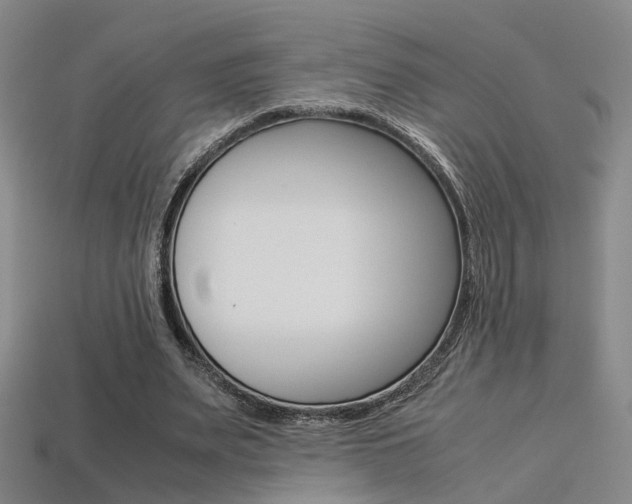 X0000113310487200909141009