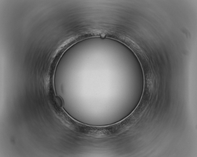 X0000113310488200909141009