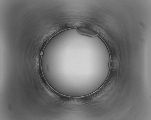 X0000113310489200909141009