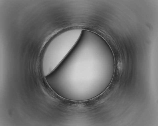 X0000113310492200909141009