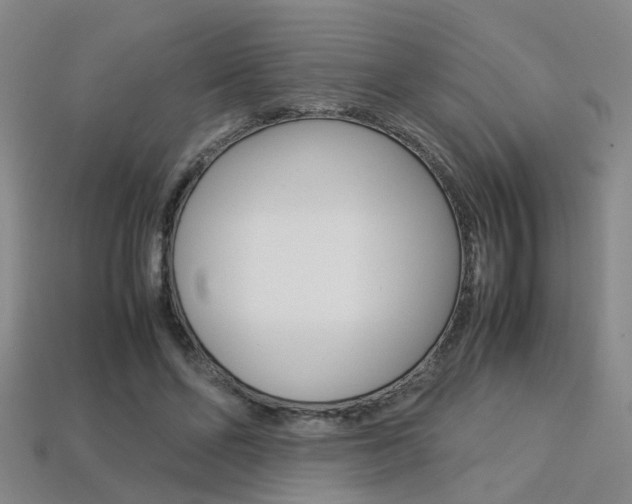 X0000113310494200909141009