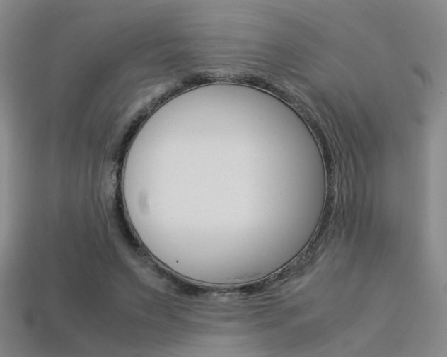 X0000113310495200909141009