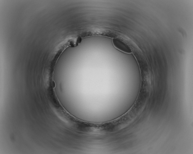 X0000113310496200909141009