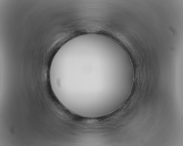 X0000113310501200909141009