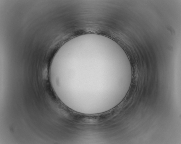 X0000113310502200909141009