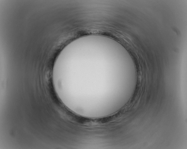 X0000113310503200909141009