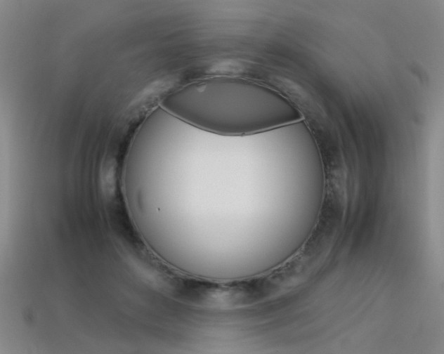 X0000113310504200909141009