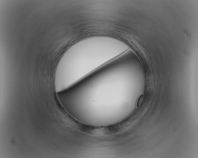 X0000113310505200909141009