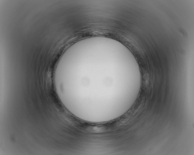 X0000113310506200909141009