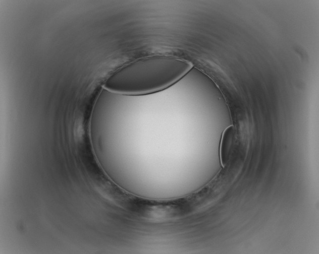 X0000113310508200909141009