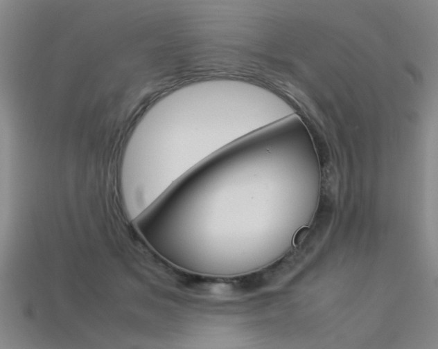 X0000113310509200909141009