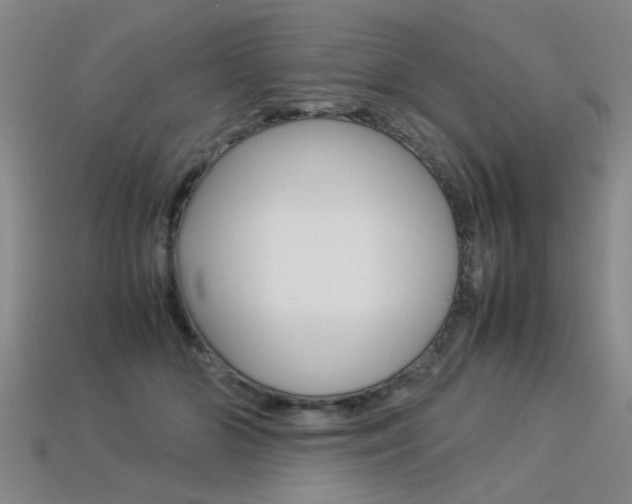 X0000113310510200909141008