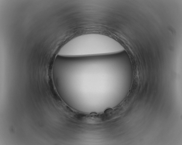 X0000113310512200909141008