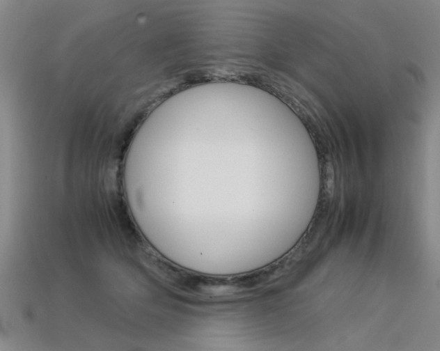 X0000113310514200909141008
