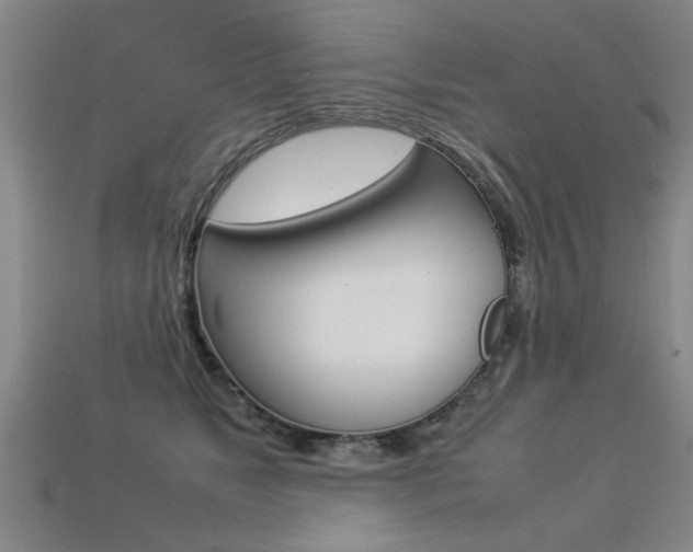 X0000113310517200909141008