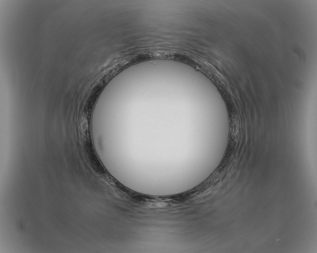 X0000113310523200909141008