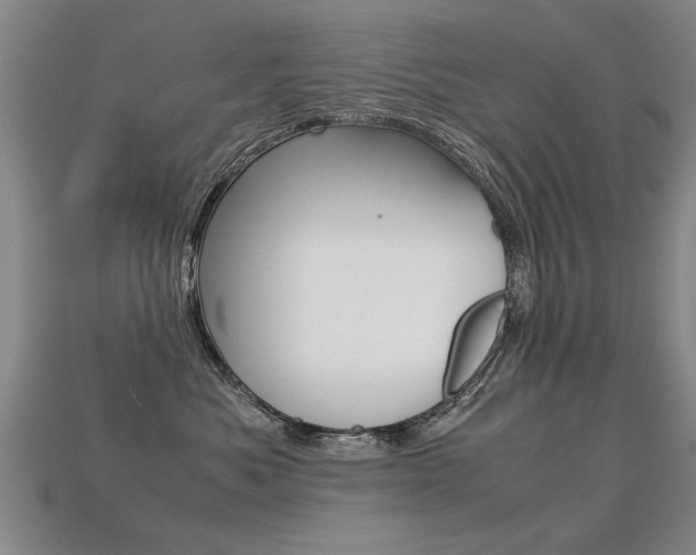 X0000113310525200909141008
