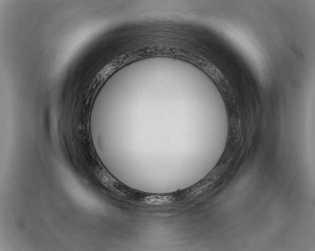 X0000113310526200909141008
