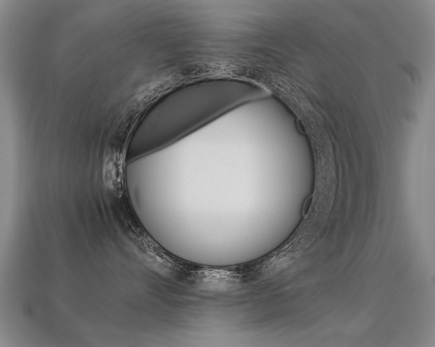 X0000113310528200909141008
