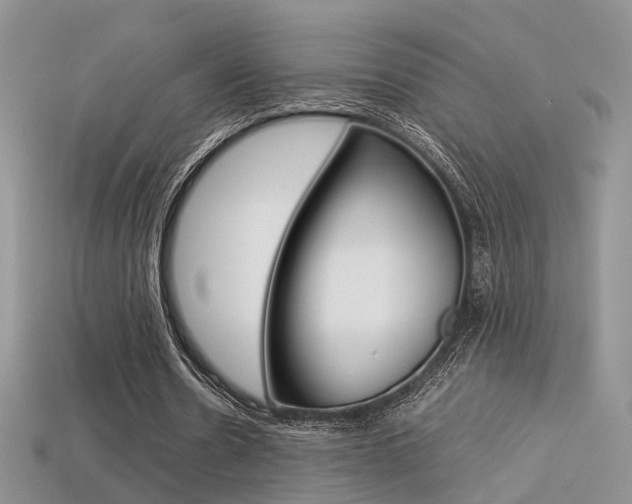 X0000113310530200909141008