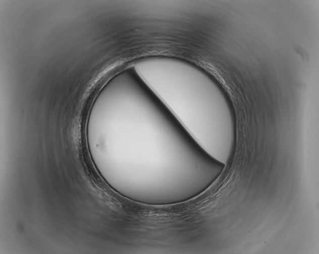 X0000113310531200909141008