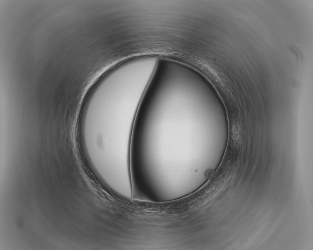X0000113310532200909141008