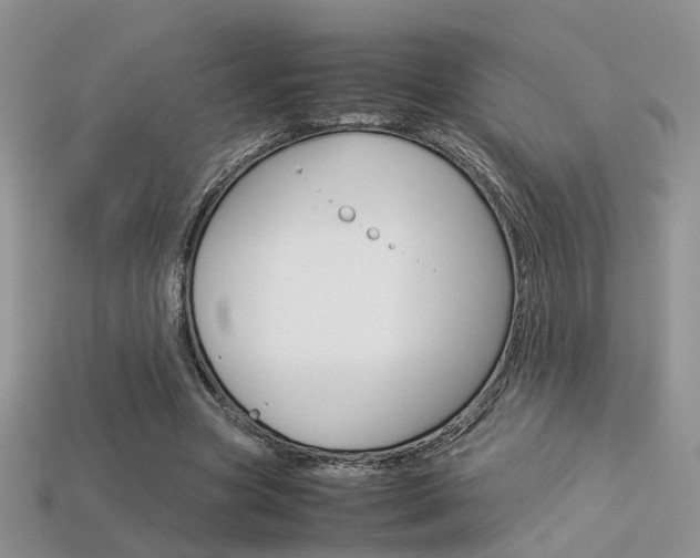 X0000113310537200909141008