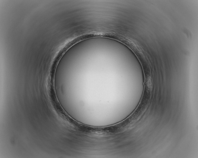 X0000113310540200909141008