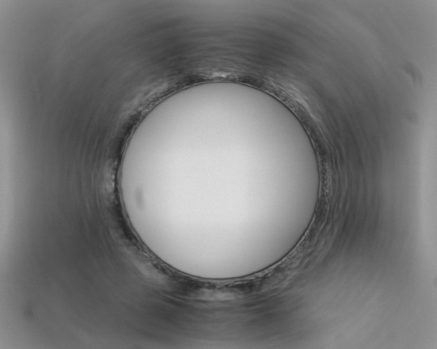 X0000113310545200909141008