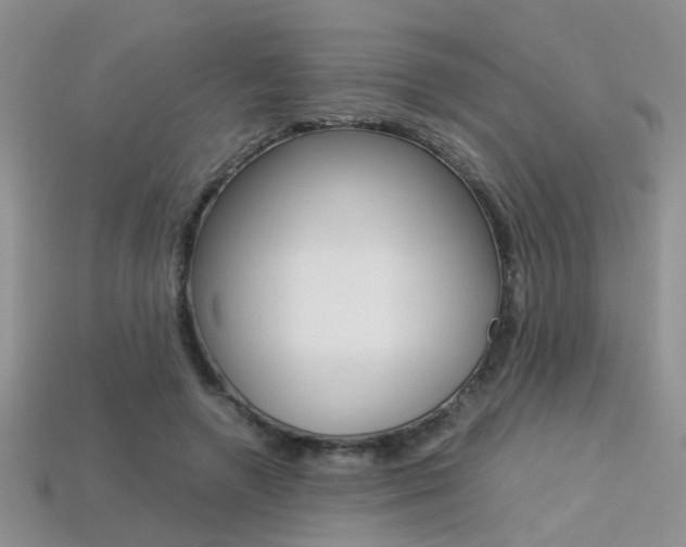 X0000113310546200909141008