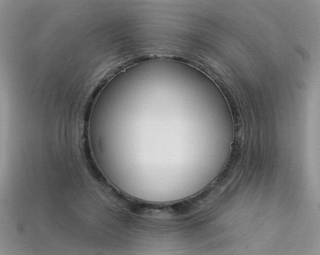 X0000113310548200909141008