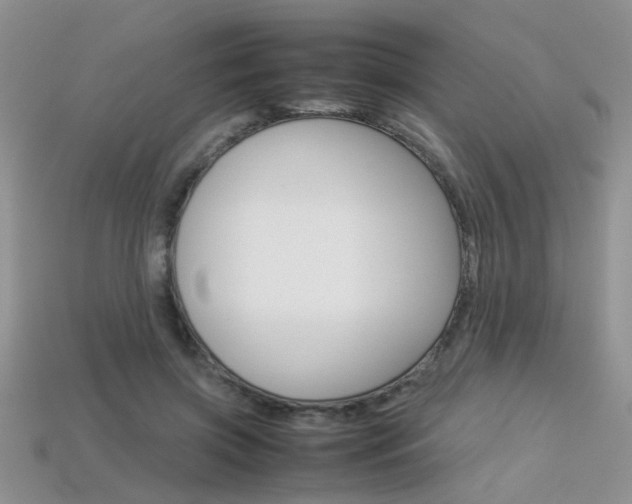 X0000113310549200909141008