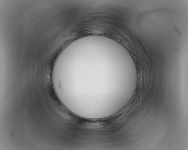 X0000113310553200909141008