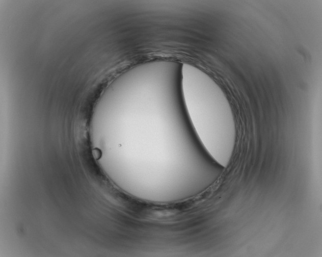X0000113310555200909141008